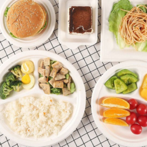 10-inch 3-portion bio-degradable plates, 500 pieces.